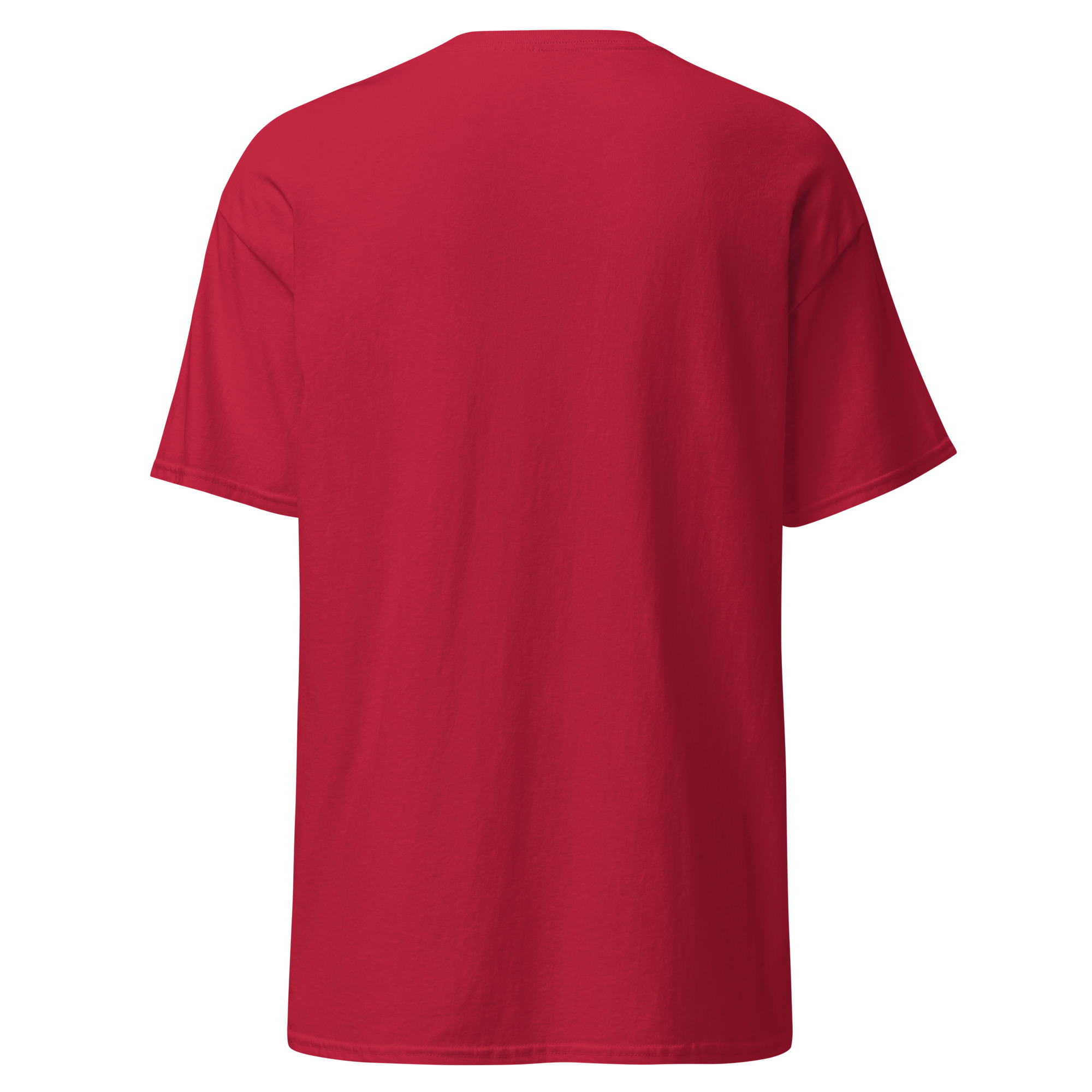 Dum Spiro Spero Unisex classic tee - Image 2