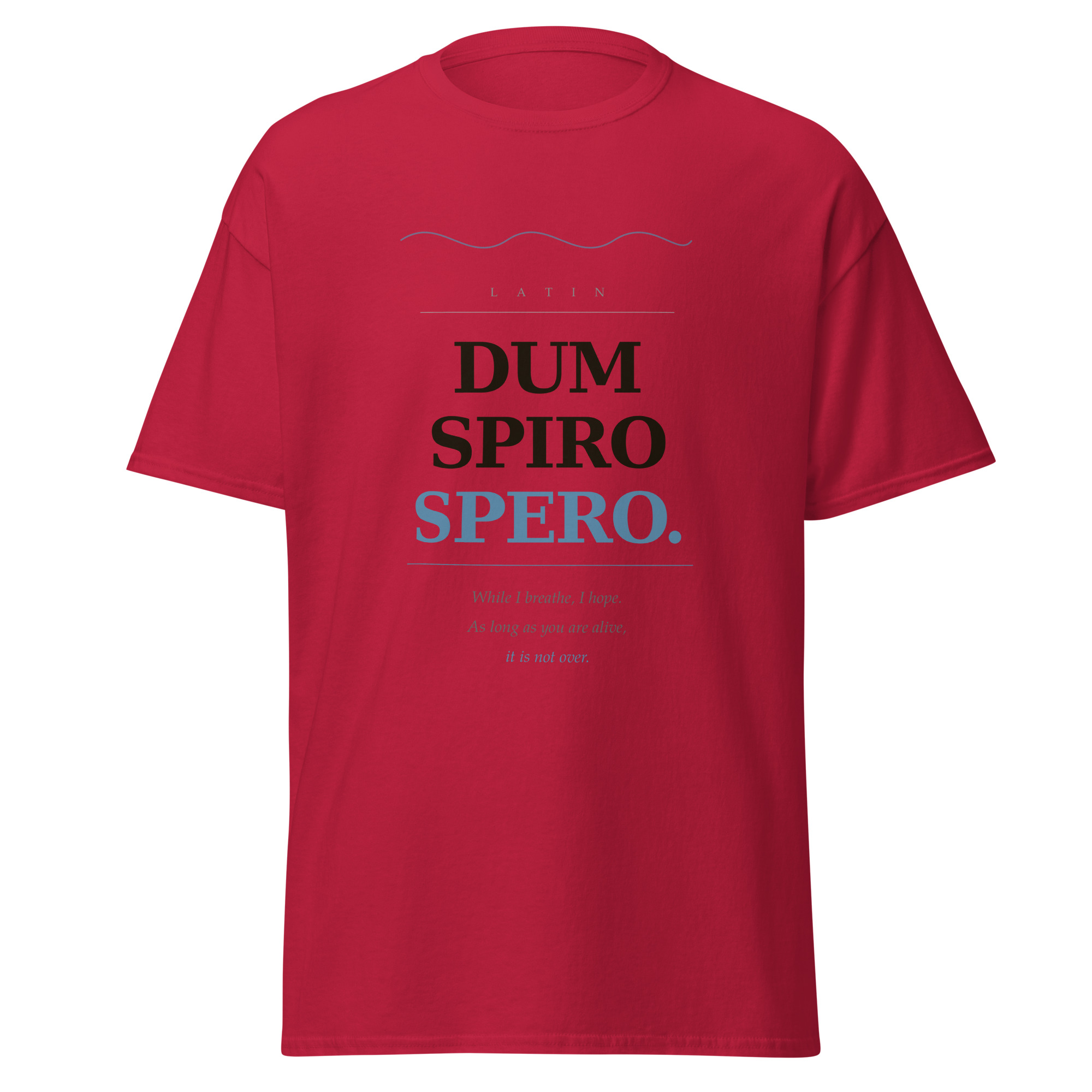 Dum Spiro Spero Unisex classic tee - Image 26