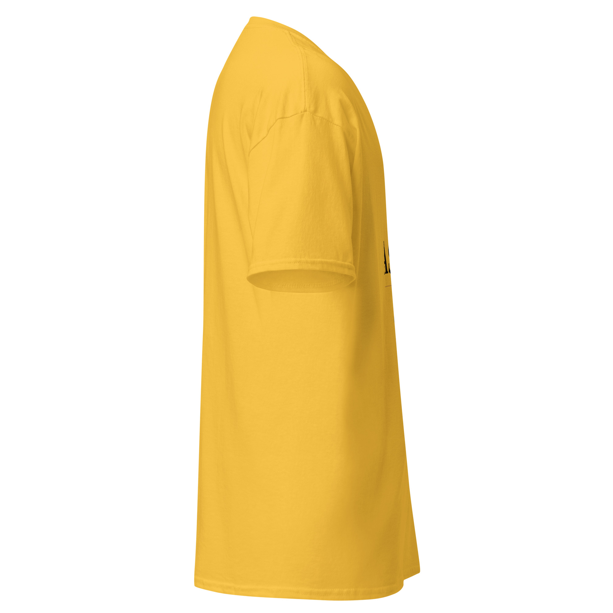 Per Aspera Unisex classic tee - Image 13