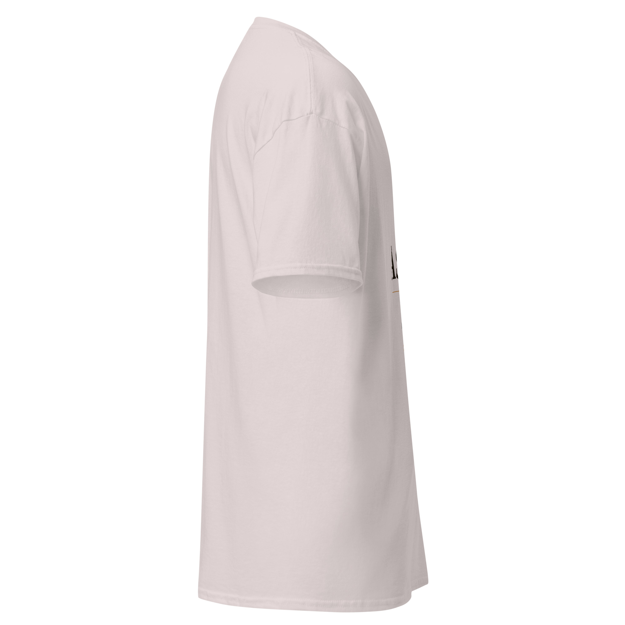Per Aspera Unisex classic tee - Image 15
