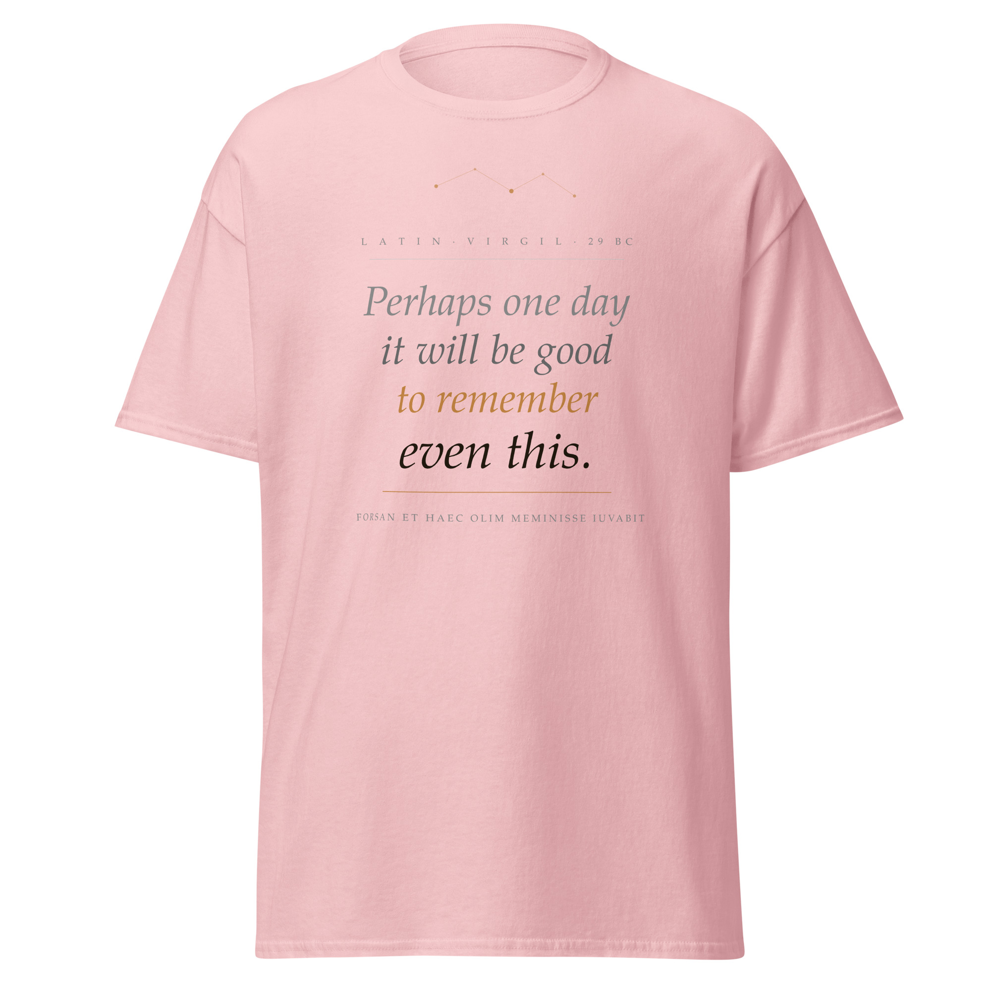 Premium Unisex classic tee