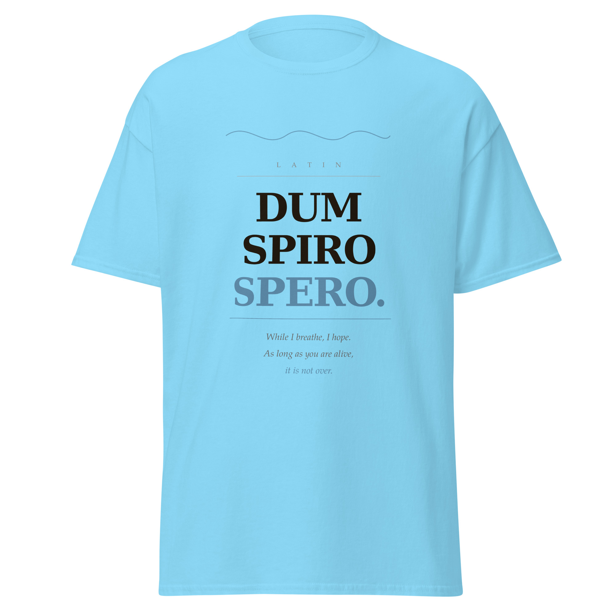 Dum Spiro Spero Unisex classic tee - Image 29