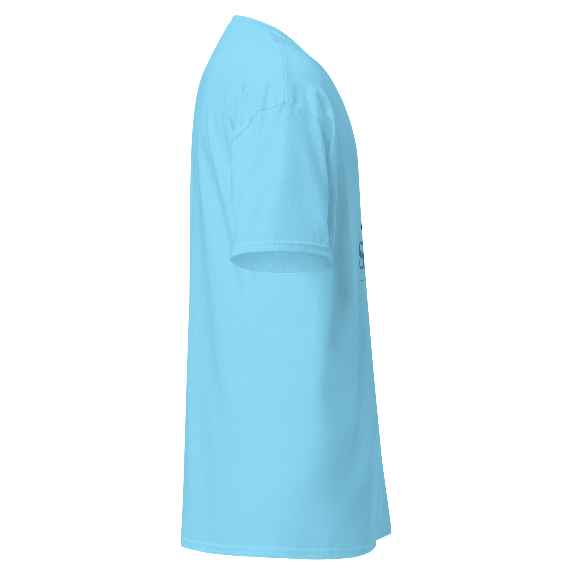 Dum Spiro Spero Unisex classic tee - Image 13