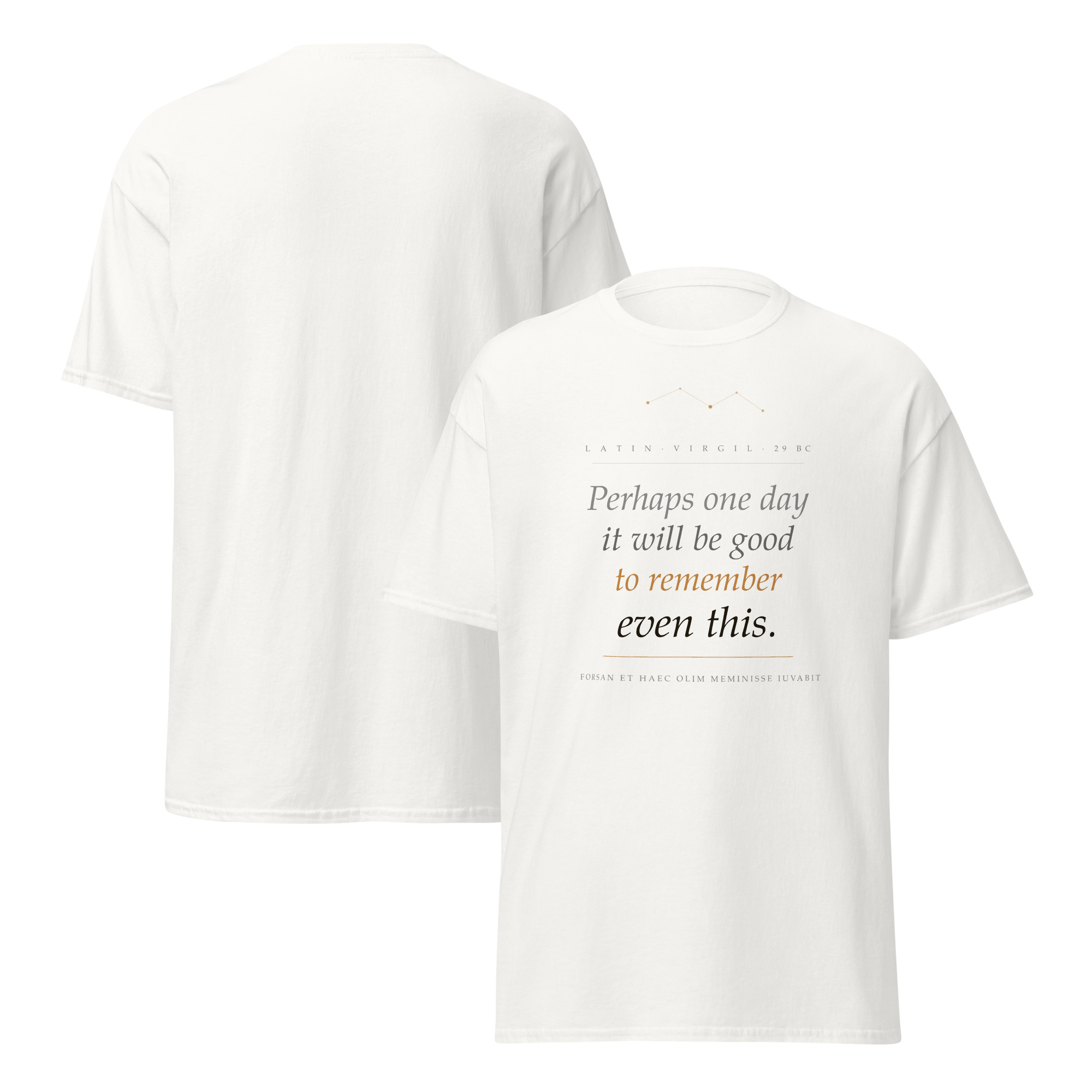 Premium Unisex classic tee - Image 14