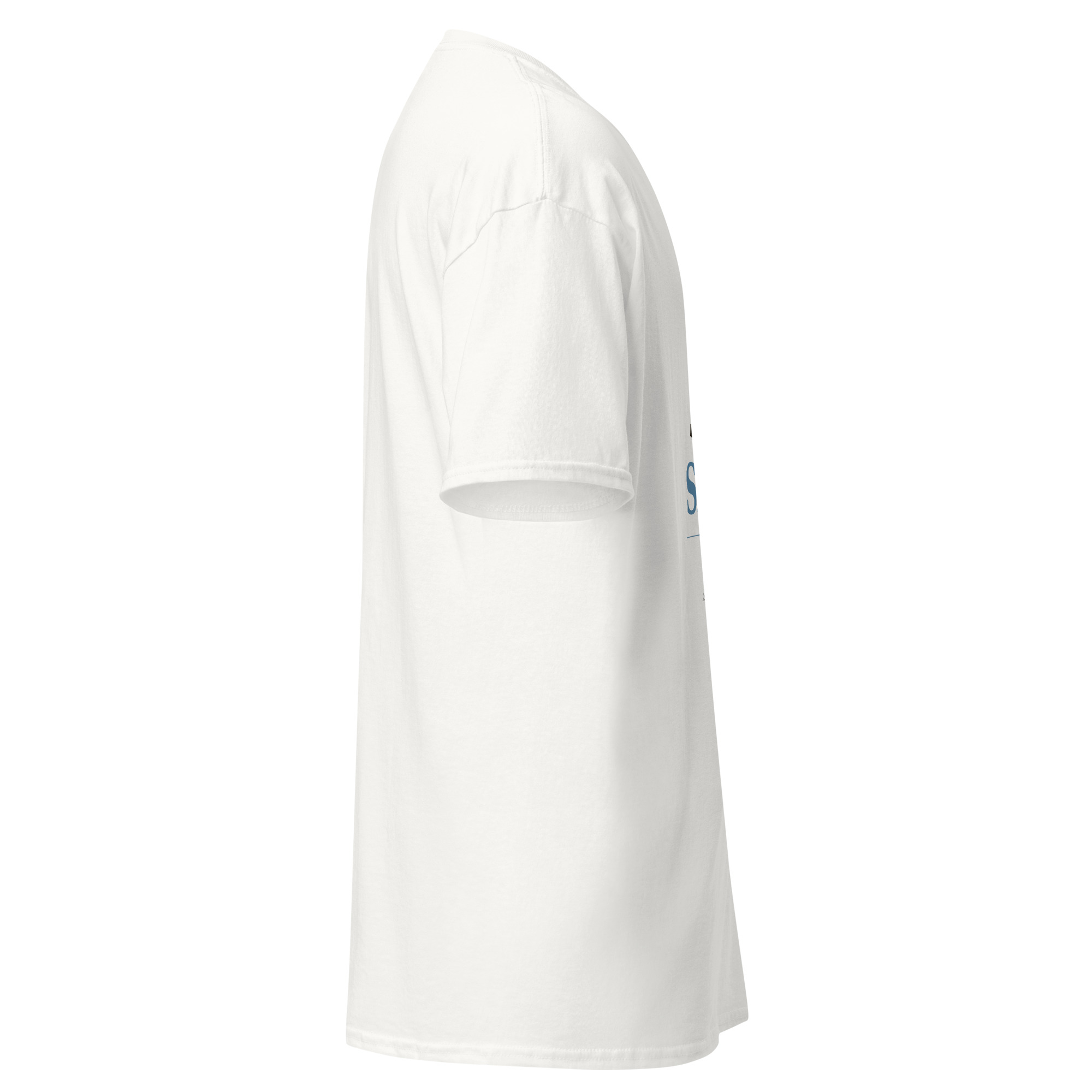 Dum Spiro Spero Unisex classic tee - Image 17