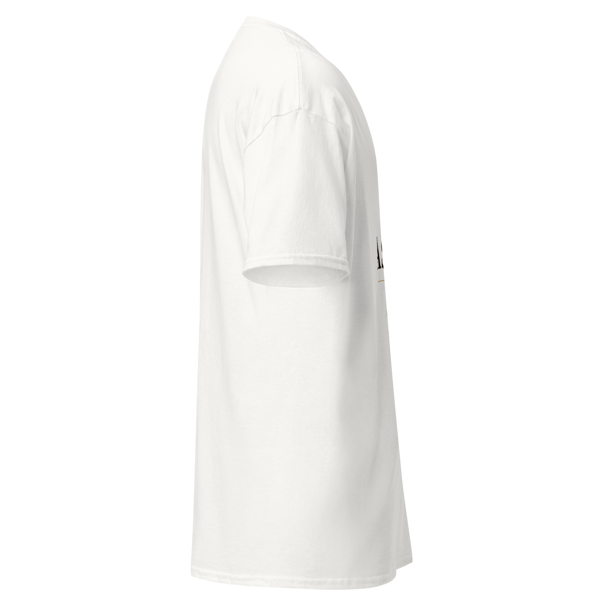 Per Aspera Unisex classic tee - Image 17