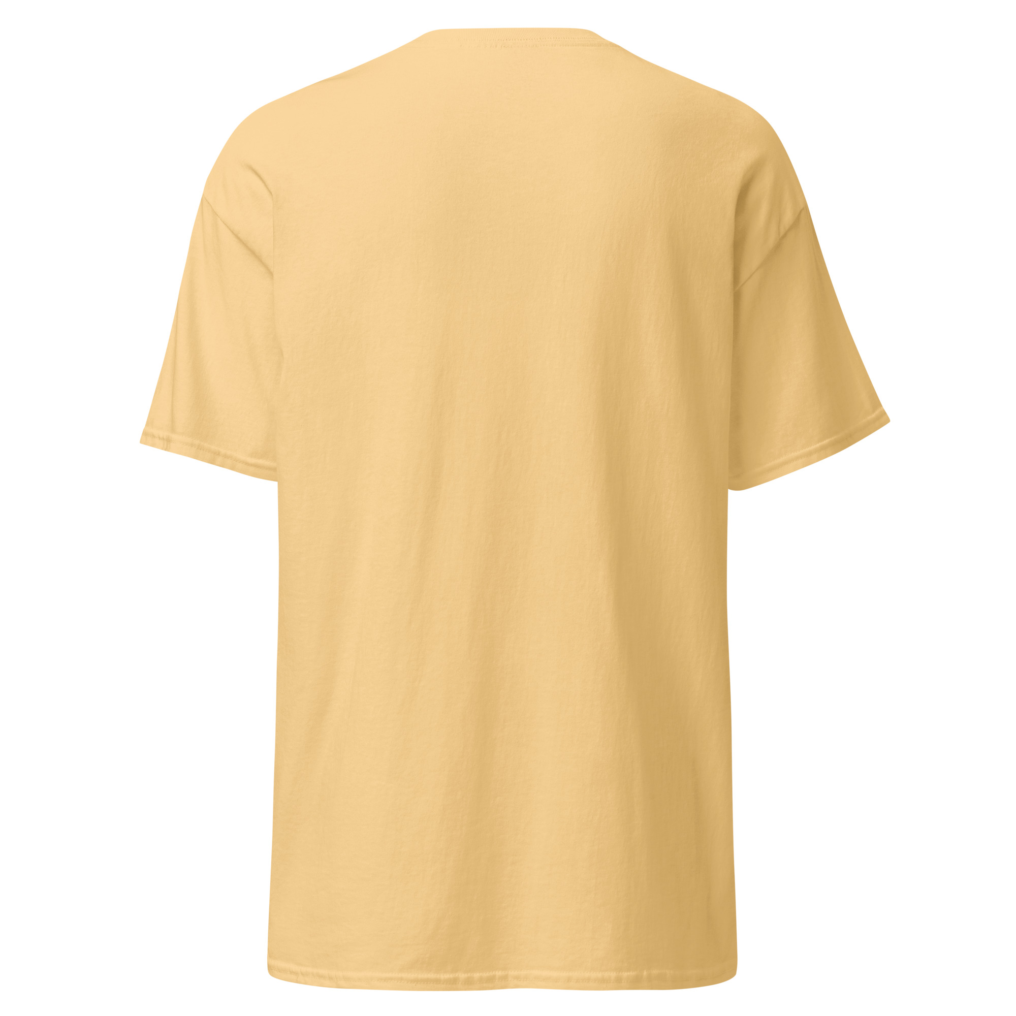 Dum Spiro Spero Unisex classic tee - Image 6