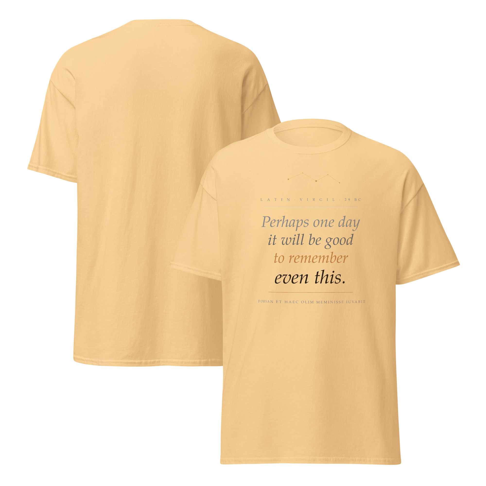 Premium Unisex classic tee - Image 10