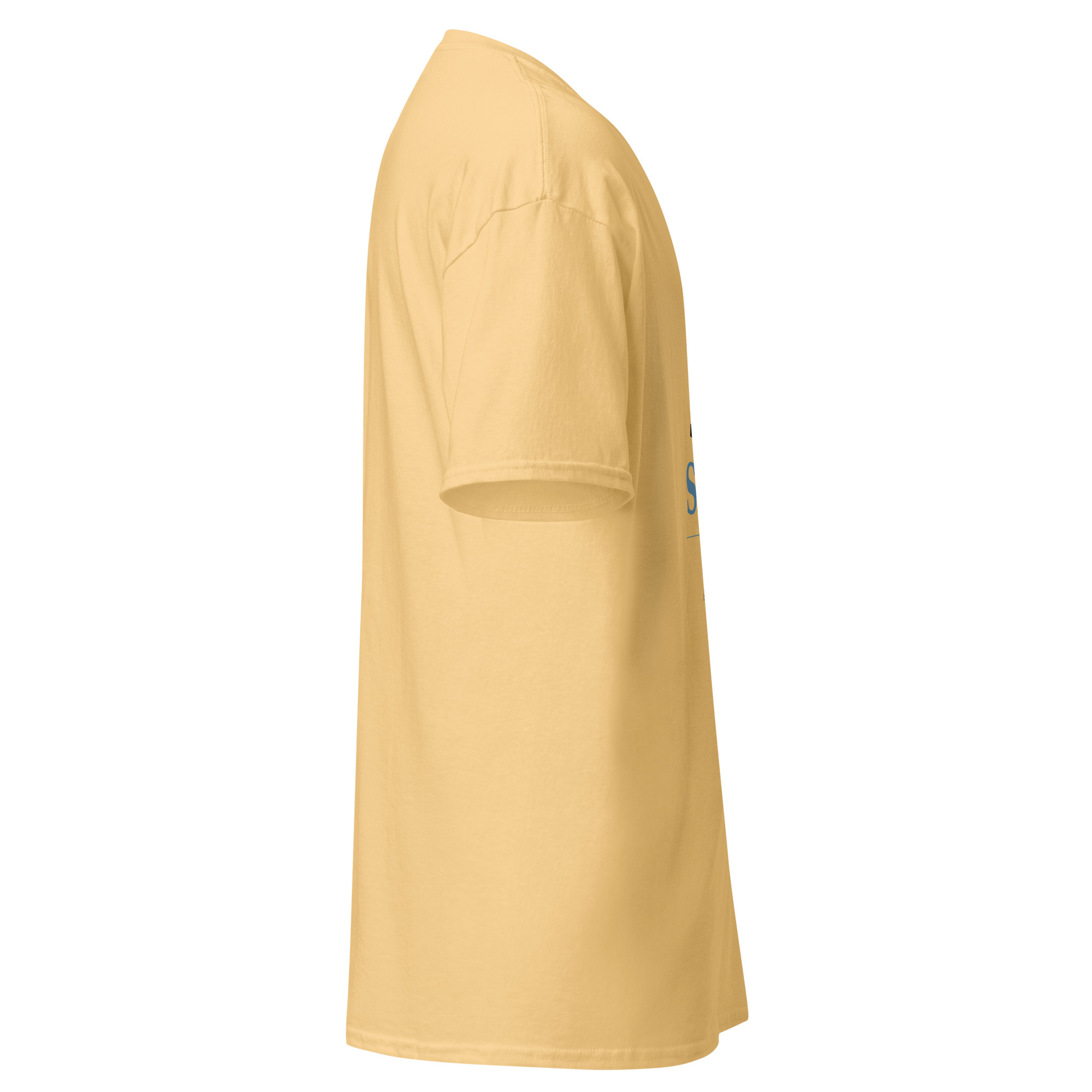 Dum Spiro Spero Unisex classic tee - Image 14